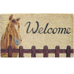 Welcome Coir Mat