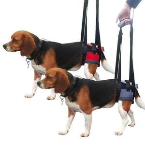 Handy Canis Hind Leg Harness