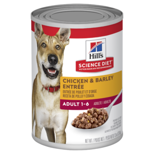 Hills Science Diet Canine Chicken & Barley Entree 370g x 12