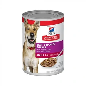Hills Science Diet Canine Adult Beef & Barley Entree 370g x 12
