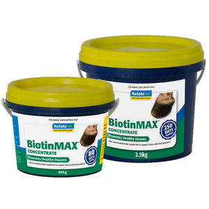 Kelato BiotinMAX Concentrate