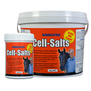 Kohnke’s Own Cell Salts Kohnke’s Own Cell-Salts, Cell-Salts electrolyte supplement horses, equine electrolyte powder Australia, Cell-Salts hydration support horses, Kohnkes electrolytes horse, Cell-Salts for sweating horses