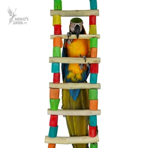 Giant Bird Ladder