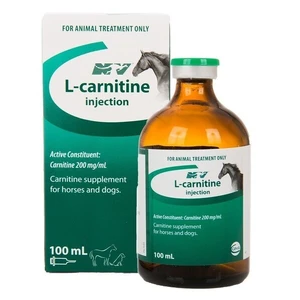 L-Carnitine 100ml Injection