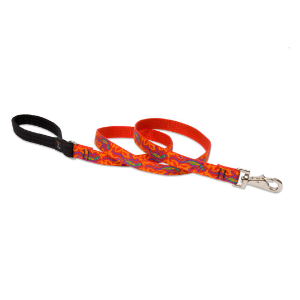 Lupine 4 foot Lead Go Go Gecko 3/4" Thick