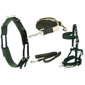 Equi-prene Anti Gall Lunging Starter Kit Full 