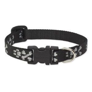 Lupine 8-12 Small Dog Collar Lil Bling 1/2 inch thick, Adjustable 8-12 inches