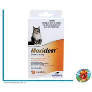 Moxiclear For Cats Over 4kg 6 pack (Orange)