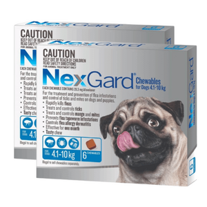 Nexgard Medium Dog 4-10kg pack of 12 (2 x 6 packs)