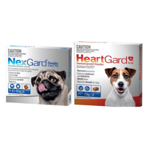 Shop Medium Dog Combo - Nexgard 4-10g 6 pack and Heartgard 