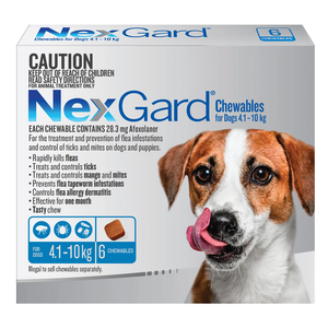 Nexgard Medium Dog 4-10kg pack of 6