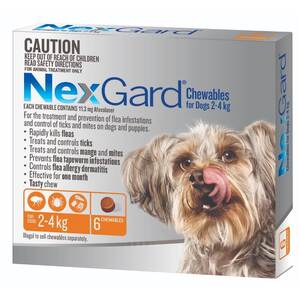 Nexgard Small Dog 2-4kg pack of 6