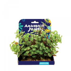 Amazon Jungle Ludwigia Display 15cm