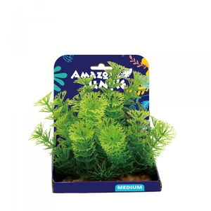 Amazon Jungle Cabomba Display 15cm