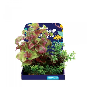 Amazon Jungle Flame Castella Display 15cm