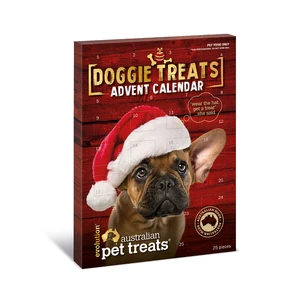 *CLEARANCE* Evolution Dog Christmas Advent Calendar  