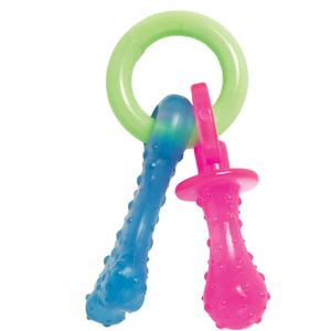 Nylabone Puppy Chew Teething Pacifier Bacon