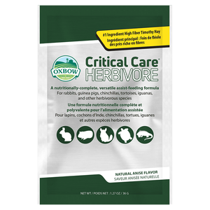 Oxbow Critical Care Aniseed Recovery Food - 36G