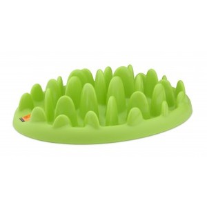 Northmate Green Mini Feeder for small dogs