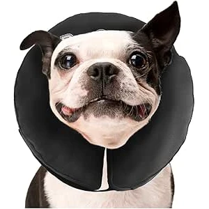 Zenpet Pro Collars