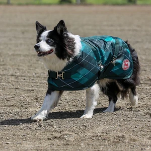 *CLEARANCE* Thermo Master Supreme Dog Coat - Emerald Diamond - Size 28 (71cm) Thermo Master dog coat, Emerald Diamond dog coat, winter dog coat, waterproof dog coat, warm dog coat, insulated dog jacket, 840D nylon dog coat, stylish dog coat, durable pet coat, dog winter wear