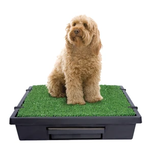 PetSafe Pet Loo Portable Indoor/Outdoor Pet Toilet PetSafe Pet Loo, portable pet toilet, indoor dog toilet, grass dog toilet, apartment pet toilet, pet loo for dogs, pet potty system, dog toilet mat, indoor dog potty, synthetic grass pet toilet, dog potty tray