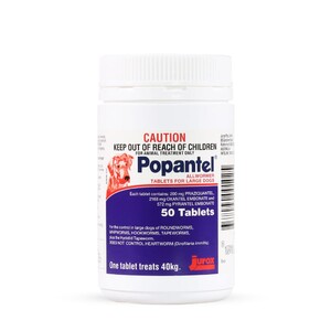 Popantel Allwormer Tablets for Large Dogs 40kg 50 pack