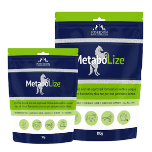 Poseidon MetaboLize poseidon metabolize, poseidon metabilize, poseidon metabolise, metabolize horse supplement, metabolic horse support, horse sugar balance, sugar regulation horse, insulin resistance horse, cresty neck horse, laminitis horse support, overweight horse supple