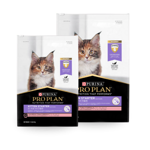 Pro Plan Kitten Starter Salmon & Tuna Dry Food