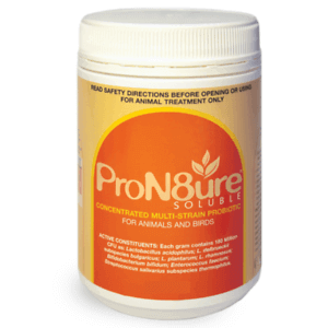 ProN8ure Soluble Powder - 500gms (Orange Label )