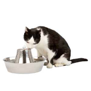 Seaside Stainless Steel Pet Fountain 1.8L