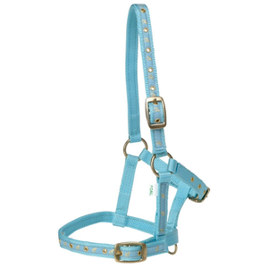 Rancher Deluxe Foal Halter - Baby Blue foal halter, Rancher Deluxe Foal Halter, adjustable foal halter, foal training equipment, brass fittings halter, young horse halter, pink foal halter, blue foal halter, equine handling gear