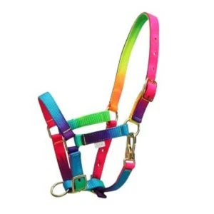 Rancher Rainbow Foal Halter
