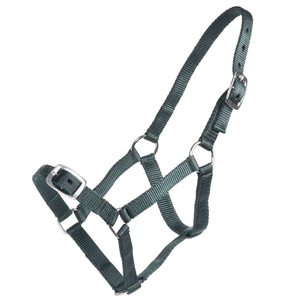 Rancher Economy Foal Halter [Colour: Hunter Green] foal halter, economy foal halter, Rancher foal halter, adjustable foal halter, nylon foal halter, young horse halter, budget foal halter, equestrian halters