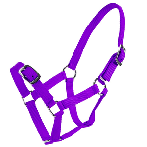 Rancher Economy Foal Halter [Colour : Purple] foal halter, economy foal halter, Rancher foal halter, adjustable foal halter, nylon foal halter, young horse halter, budget foal halter, equestrian halters
