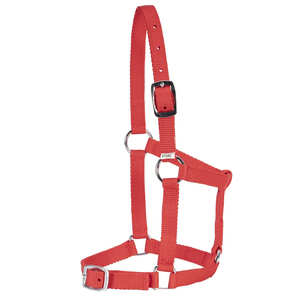 Rancher Economy Foal Halter [Colour: Red] foal halter, economy foal halter, Rancher foal halter, adjustable foal halter, nylon foal halter, young horse halter, budget foal halter, equestrian halters
