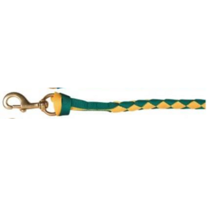 Premium Hand-Braided Poly Lead [Colour: Green/Yellow]
