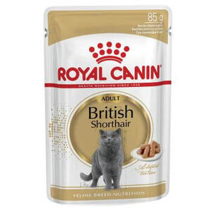 Royal Canin British Shorthair wet food in gravy 12 x 85gm packs