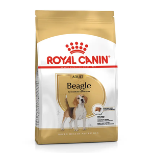 Royal Canin Beagle Adult Dry Dog Food Royal Canin Beagle Adult, Beagle dog food, Royal Canin 12kg, Beagle weight control food, joint support dog food, breed-specific dog food, Royal Canin Beagle dry food, Royal Canin for Beagles, Beagle nutrition dry food, adult Beagle kibble