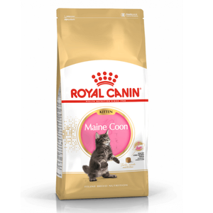 Royal Canin Main Coon Kitten Dry Food