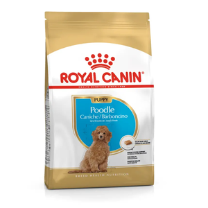Royal Canin Poodle Puppy Dry Dog Food Poodle puppy food, Royal Canin Poodle Puppy, best food for Poodle puppies, curly coat dog food, omega-3 puppy food, breed-specific puppy food, Poodle diet, Poodle digestion support, dental kibble for puppies, Poodle coat nutrition