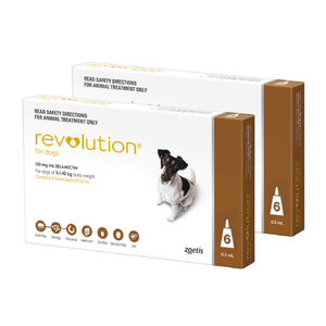 Revolution 12 pack For Dogs 5 - 10kg Brown