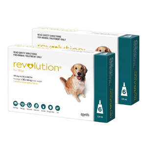 Revolution 12 pack for dogs 20- 40kg Teal 