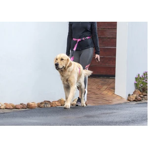 ROGZ specialty hands-free lead
