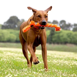 Rogz Scrubz :Large Dog Toy