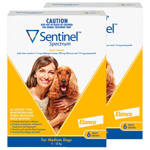 Shop Sentinel Spectrum Yellow Medium Dogs 11 22kg 12 pack