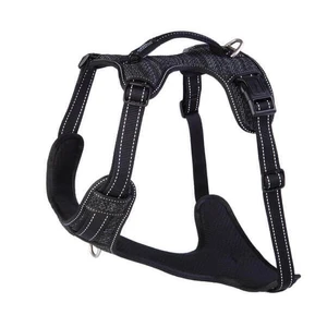 Rogz Specialty Explore Harness Black Xlge