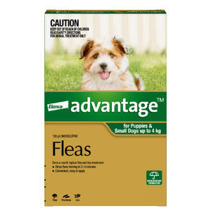 Advantage Spot-On for Puppies & Small Dogs Upto 4kg (Green) Advantage for puppies, Advantage flea treatment small dogs, Advantage spot on green, flea treatment for puppies, flea control for small dogs up to 4kg, Advantage flea drops for puppies, monthly flea treatment dogs, puppy flea prevention, Advantage for dog