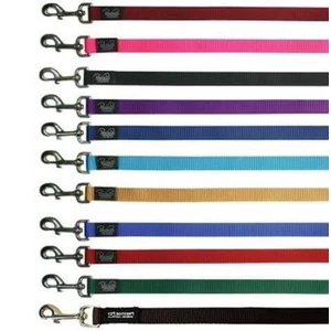 Soft padded nylon leash 3/4"