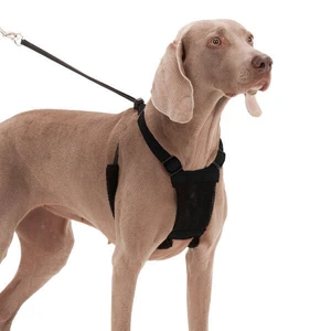 Sporn Mesh No Pull Harness